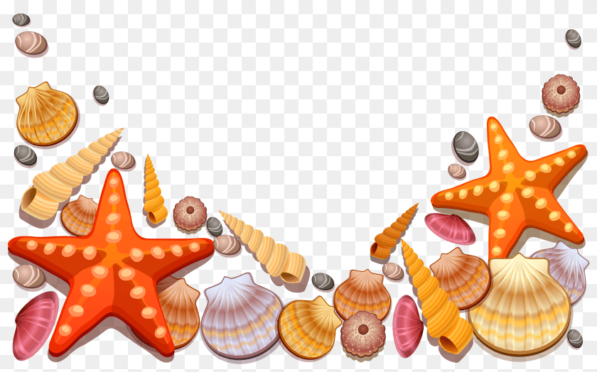 Frame Clipart Seashell, Animal, Sea Life, Invertebrate, Ball Transparent PNG