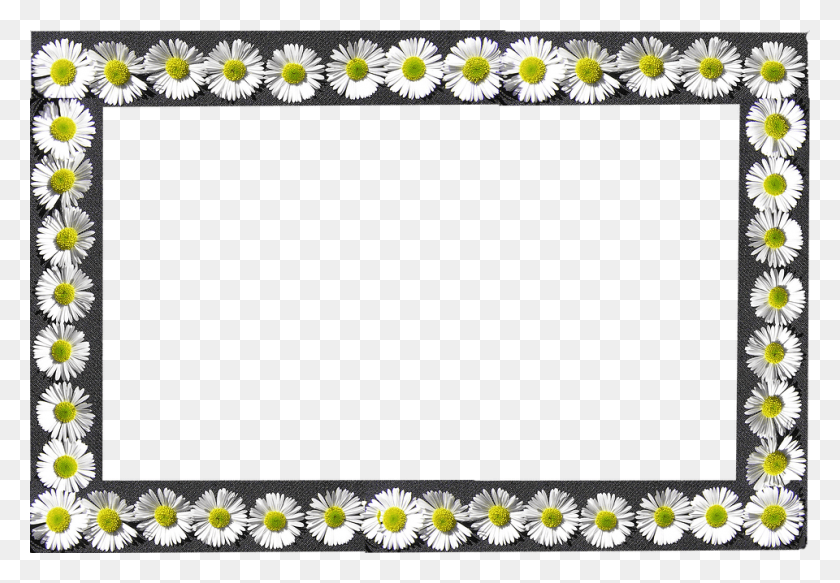 960x644 Frame Daisies Border Picture Frame, Rug, Plant, Daisy HD PNG Download