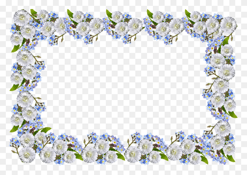 951x653 Frame Daisies Forget Me Not Contoh Gambar Bingkai Keren Yang Terbuat Dari Kardus, Plant, Flower, Blossom HD PNG Download