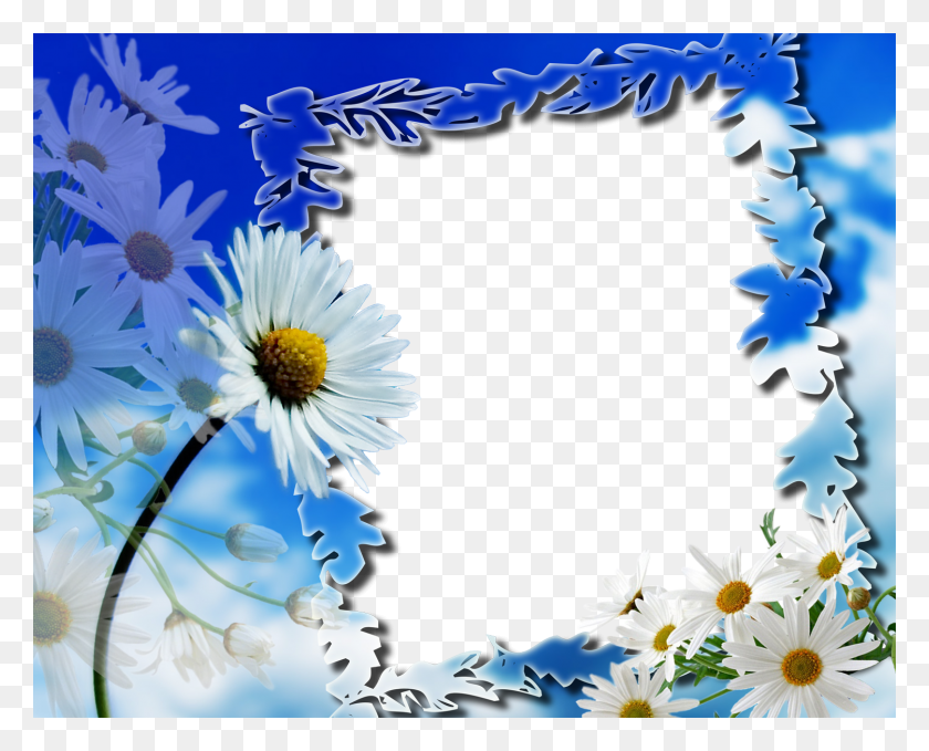 1500x1192 Frame Flowers, Plant, Daisy, Flower HD PNG Download