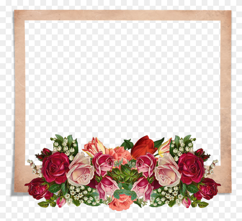 791x720 Frame Karangan Bunga, Plant, Flower, Blossom HD PNG Download
