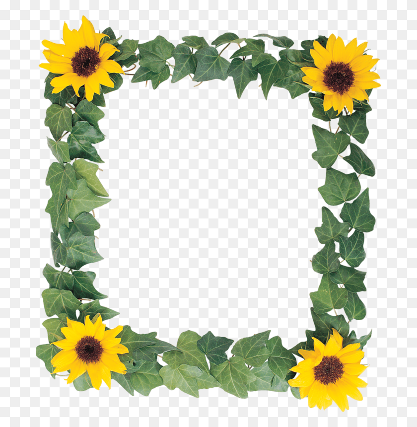 696x800 Frame Of Flower Marcos De Girasoles, Sunflower, Plant, Blossom HD PNG Download