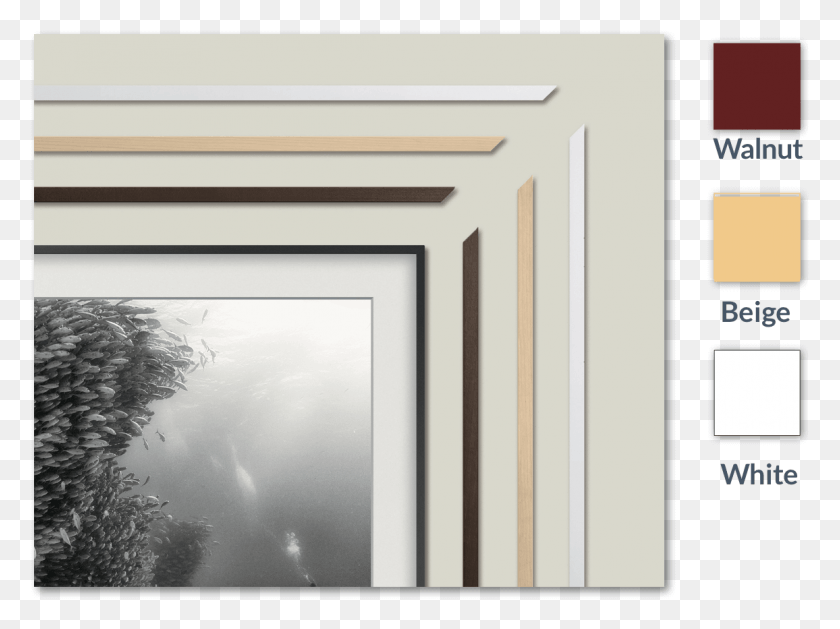 1156x844 Варианты Рамок Samsung The Frame Frames, Plant, Nature, Tree Hd Png Download