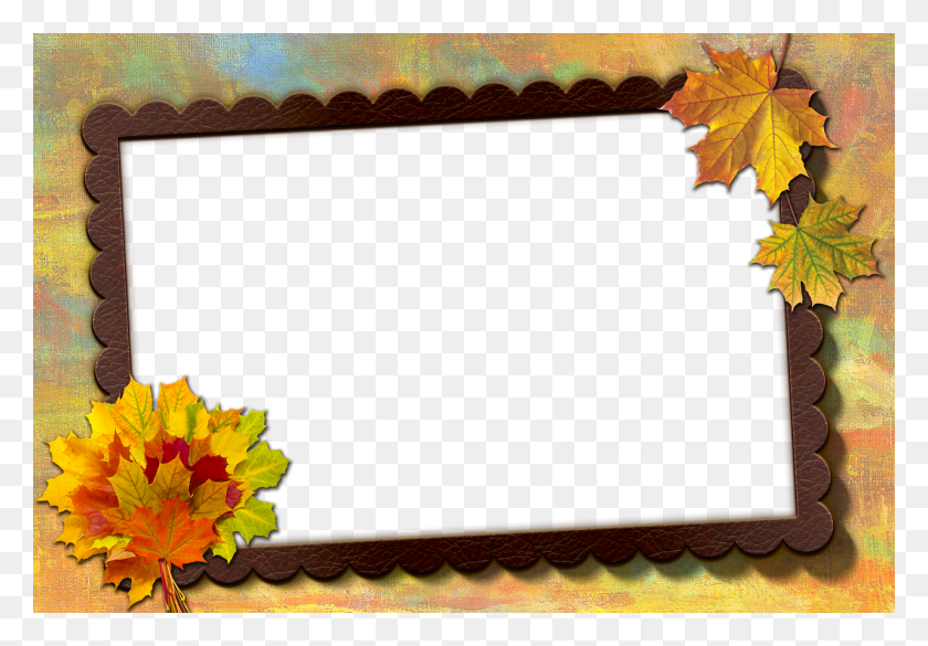 1280x862 Frame Photo Frame Autumn Leaf Image Congratulations For Success In Exam, Plant, Tree, Maple Leaf HD PNG Download