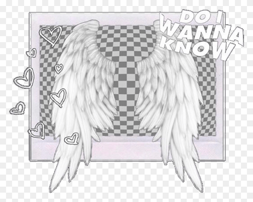 953x747 Frame Rectangle Square Squareframe Wings Angel Illustration, Clothing, Apparel HD PNG Download