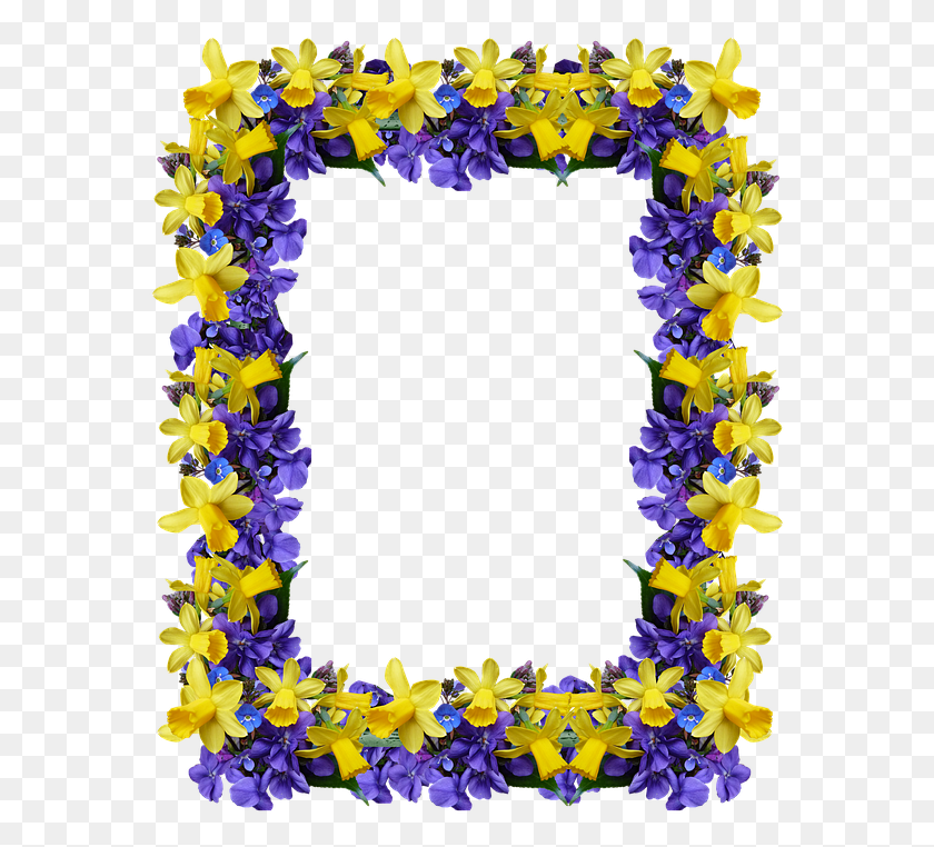 574x702 Рамка Весенние Цветы Нарциссы Фиалки Цветок, Растение, Цветение, Орнамент Hd Png Скачать
