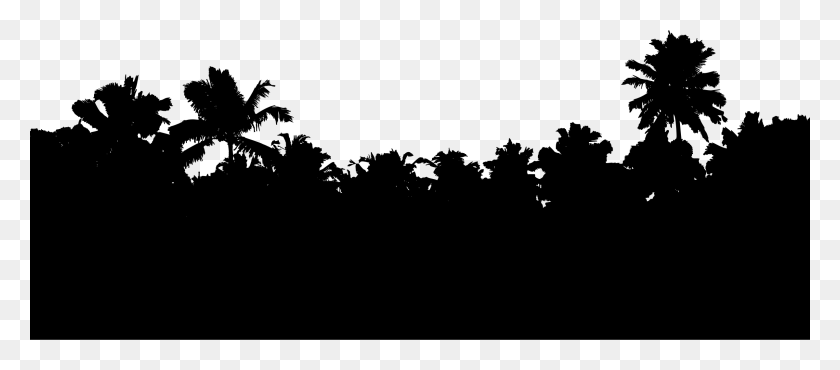 2400x955 Frame Tropical Preto, Gray, World Of Warcraft HD PNG Download