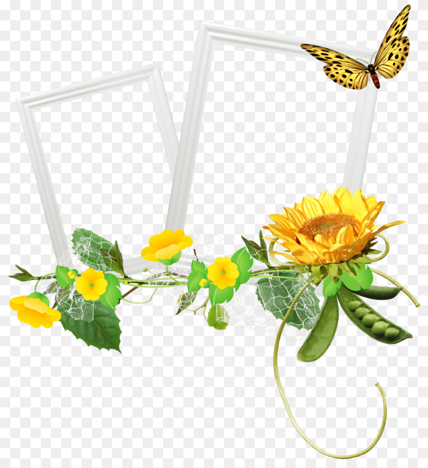 Frames, Flower, Plant, Flower Arrangement, Sunflower Sticker PNG