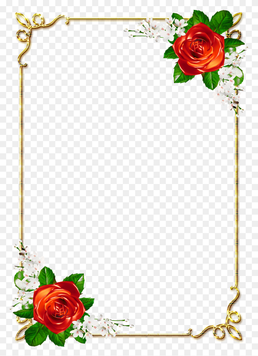 1120x1582 Frames Borders For Paper Borders And Frames, Plant, Flower, Blossom HD PNG Download