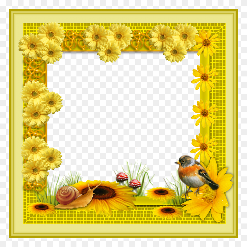 1280x1280 Framework Flowers Frame Photo Frame Video, Bird, Animal HD PNG Download