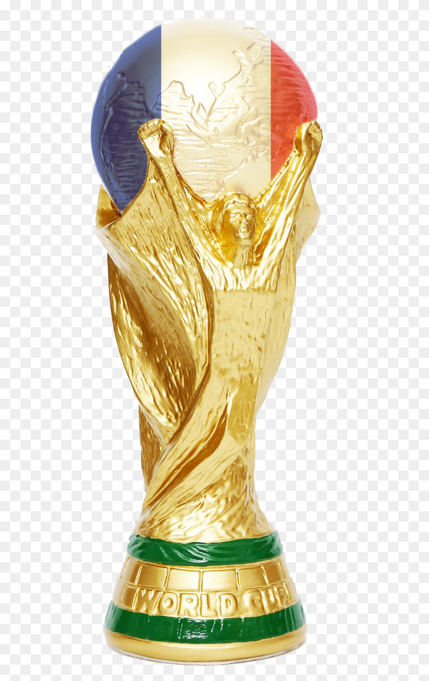 490x1272 France Won Wm2018 Image France World Cup 2018, Trophy, Bird, Animal HD PNG Download