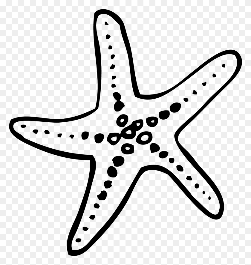 1381x1459 Francis Len Oasis Boda Estrella De Mar Doodle, Cruz, Símbolo, Flecha Hd Png