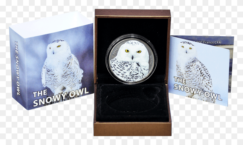 1123x634 Francs Cfa Burkina Faso 2016 The Snowy Owl Snowy Owl, Nature, Outdoors, Bird HD PNG Download