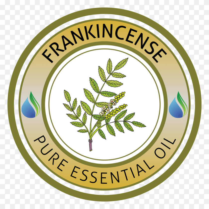 800x800 Frankincense Essential Oil Set For The Fall, Label, Text, Plant HD PNG Download