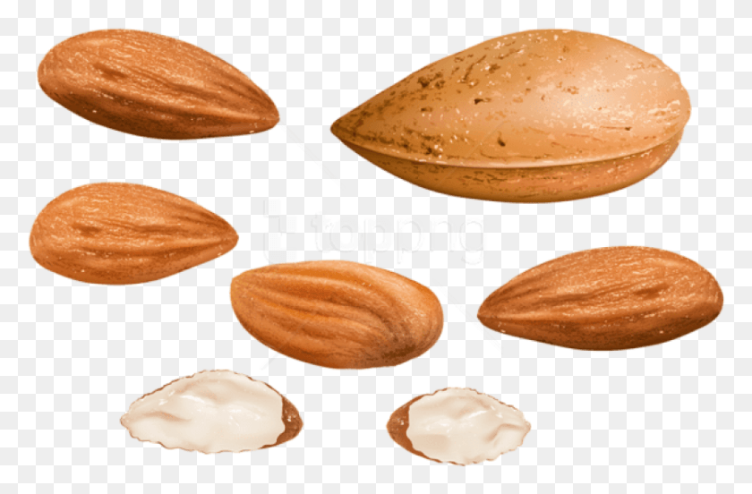 839x530 Free Almonds Clipart Photo Images Almond, Nut, Vegetable, Plant HD PNG Download