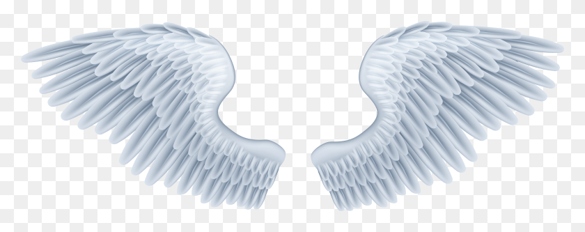 7913x2779 Free Angel Wings HD PNG Download