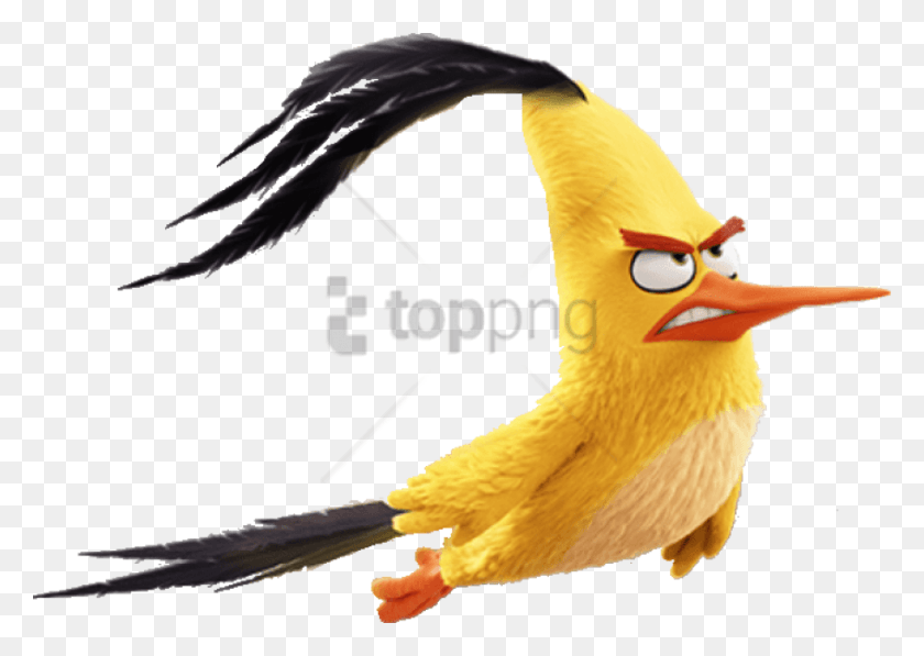 850x586 Descargar Png Angry Birds Movie Chuck Flying Image With Flying Angry Birds, Pájaro, Animal Hd Png