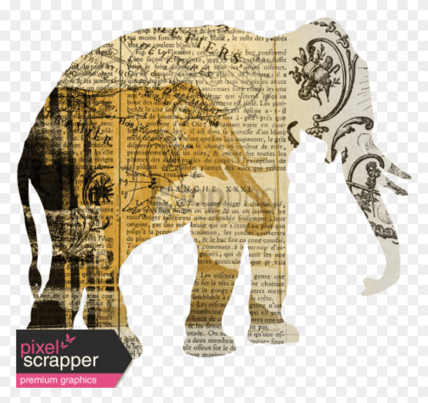 850x798 Free Animal Kingdom Image With Transparent Indian Elephant, Collage, Poster, Advertisement HD PNG Download