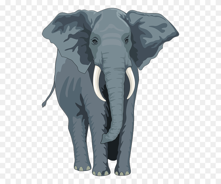 522x640 Free Animal Picture Elephant Clipart Front, Wildlife, Mammal HD PNG Download