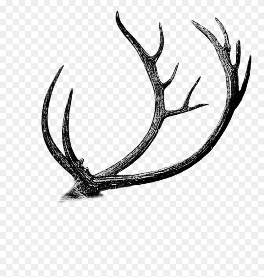 765x822 Free Antler Cutout By Mauvevrexel Drawing, Snake, Reptile, Animal HD PNG Download