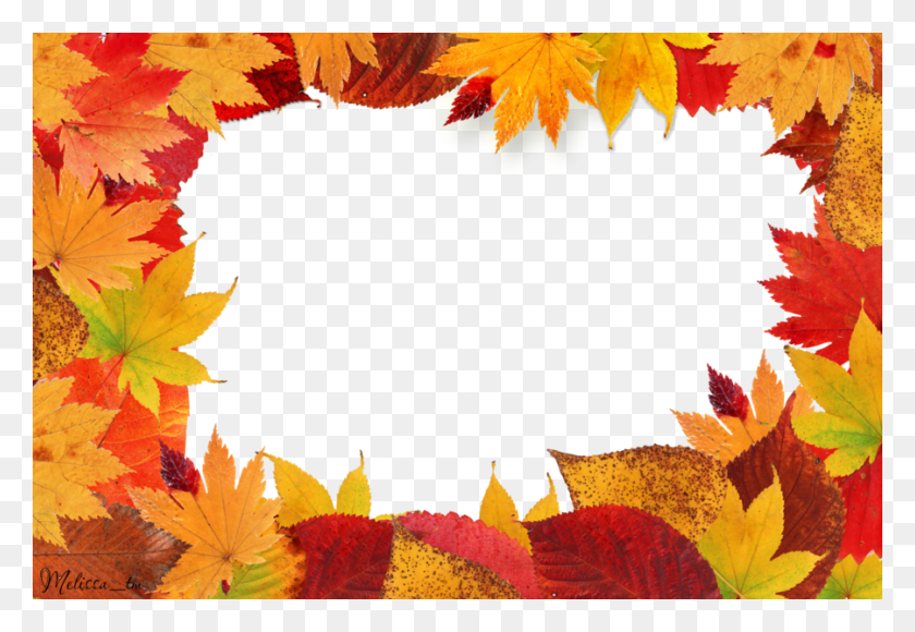 900x600 Осенние Листья Клипарт Фото Осенние Листья Рамка, Лист, Растение, Дерево Hd Png Скачать