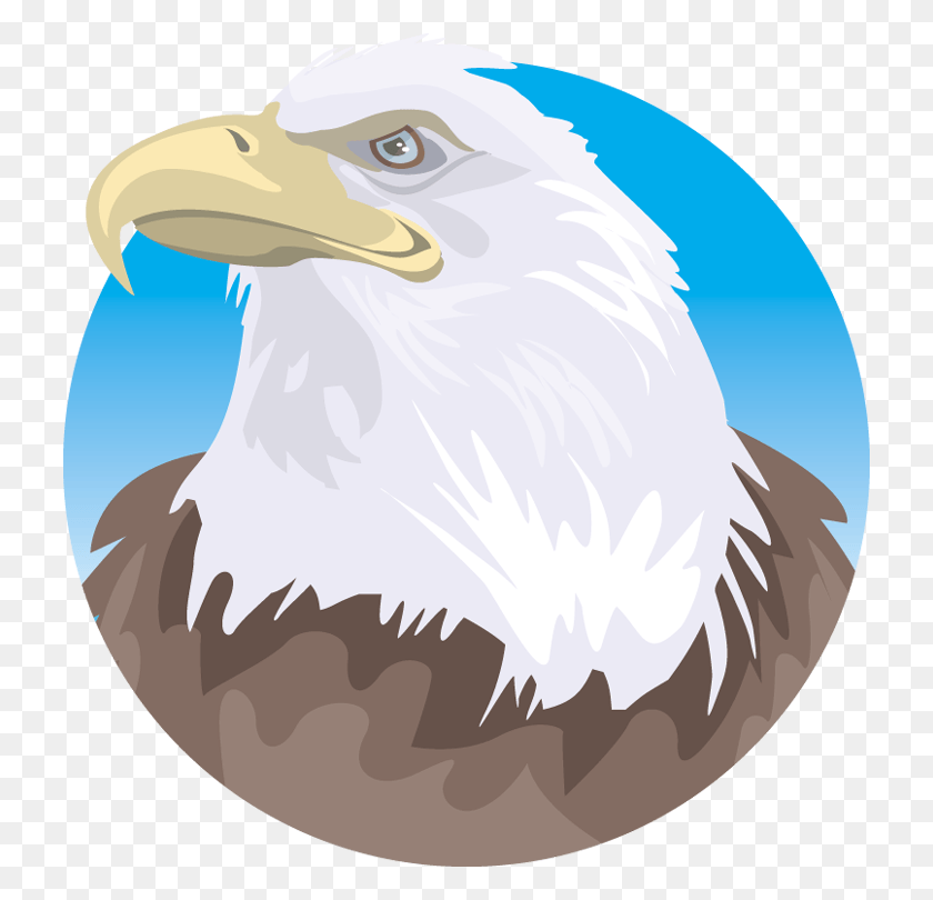726x750 Free Bald Bald Eagle, Eagle, Bird, Animal HD PNG Download