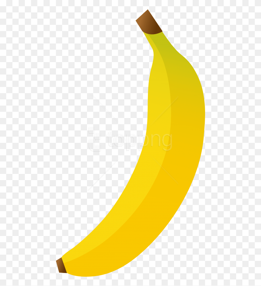 480x861 Free Banana39S Clipart Photo Images Clipart Plátano, Planta, Fruta, Alimentos Hd Png Descargar
