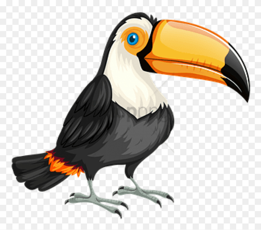 850x743 Free Bandeira Do Brasil Com Um Tucano Toucan Silhouette, Beak, Bird, Animal HD PNG Download