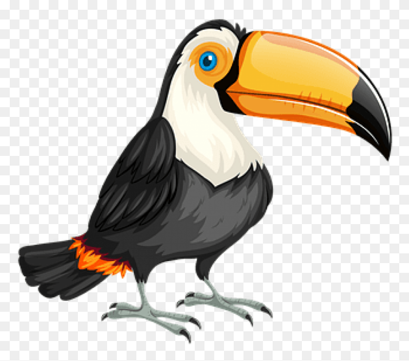850x743 Free Bandeira Do Brasil Com Um Tucano Tucan, Beak, Bird, Animal HD PNG Download