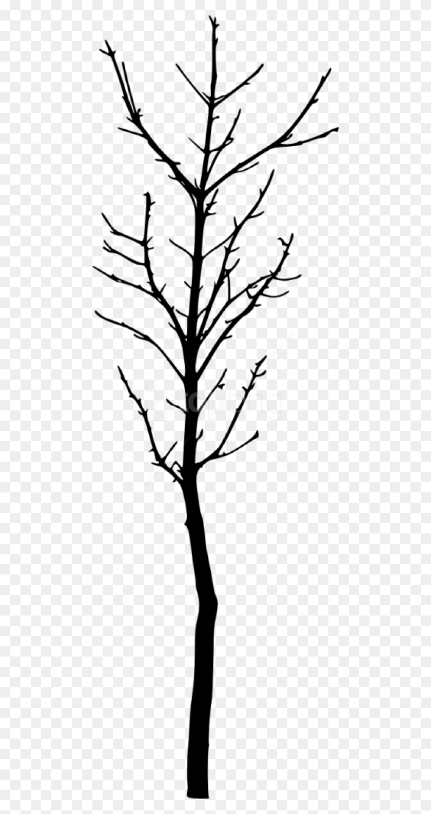 480x1527 Free Bare Tree Silhouette Images Transparent Silhouette, Plant, Stencil HD PNG Download