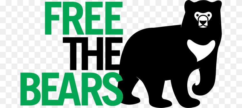 Bear, Animal, Mammal, Wildlife Transparent PNG