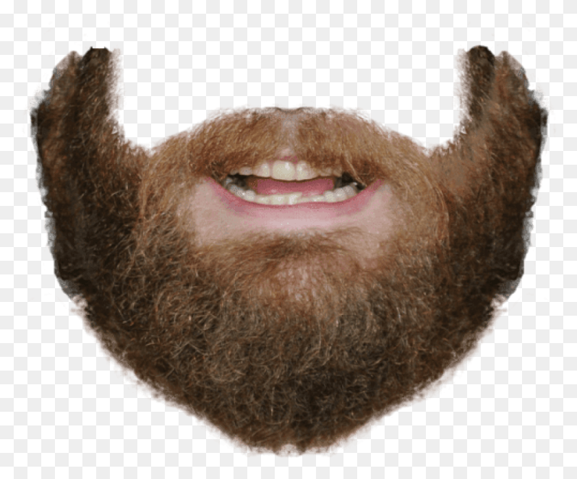 850x696 Free Beard And Mouth Images Background Beard Mouth, Face, Mustache HD PNG Download
