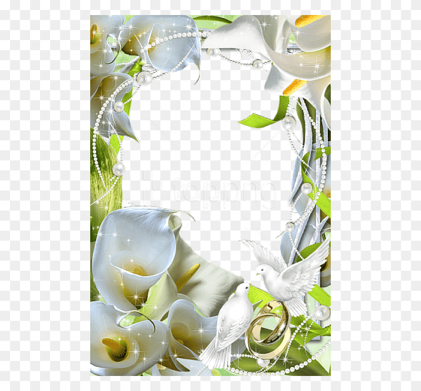 480x720 Descargar Png Flores Hermosas De La Boda Marco Transparente De La Boda Marco De Flores Transparente, Gráficos, Planta Hd Png