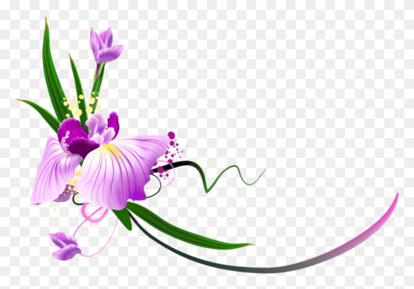 822x555 Free Beautiful Purple Floral Decor Clipart Ms Letters Images Love, Plant, Graphics HD PNG Download