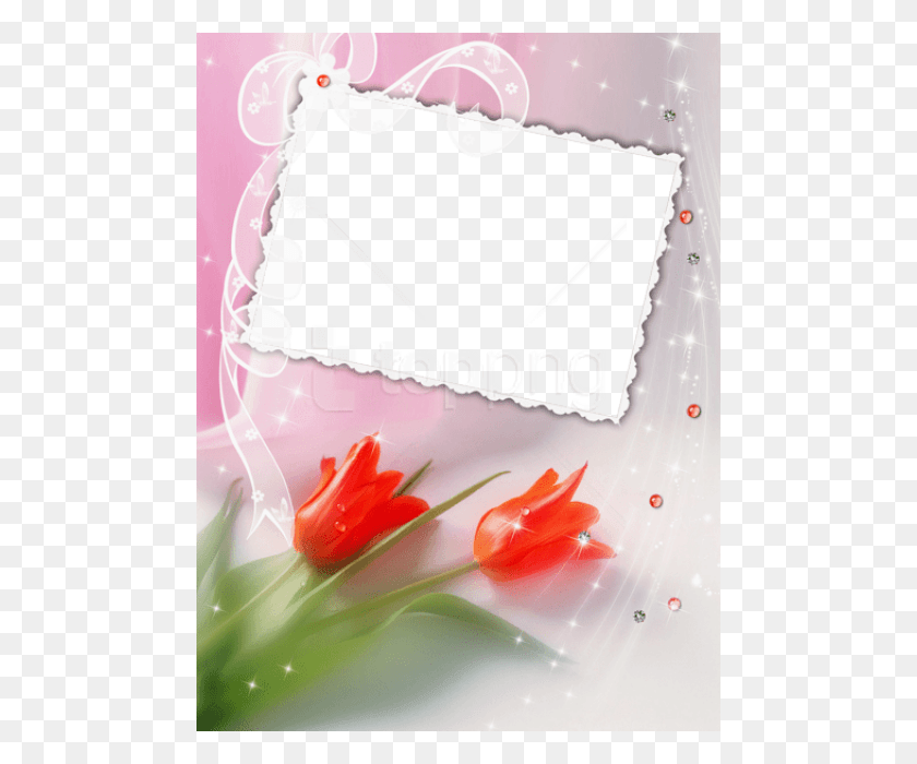 480x640 Descargar Png Marco Transparente Hermoso Con Tulipanes Rojos Bendición Feliz Cumpleaños Mamá, Pastel De Cumpleaños, Pastel, Postre Hd Png