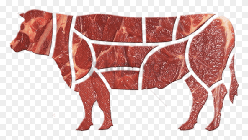 844x448 Free Beef Meat Image With Transparent Background Pervichnaya Obrabotka Myasa Govyadini, Animal, Mammal HD PNG Download