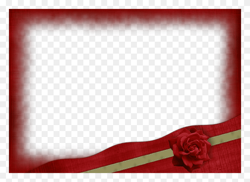 850x601 Free Best Stock Photos Beautiful Red Transparent Frame Red And Gold, Plant, Flower, Blossom HD PNG Download