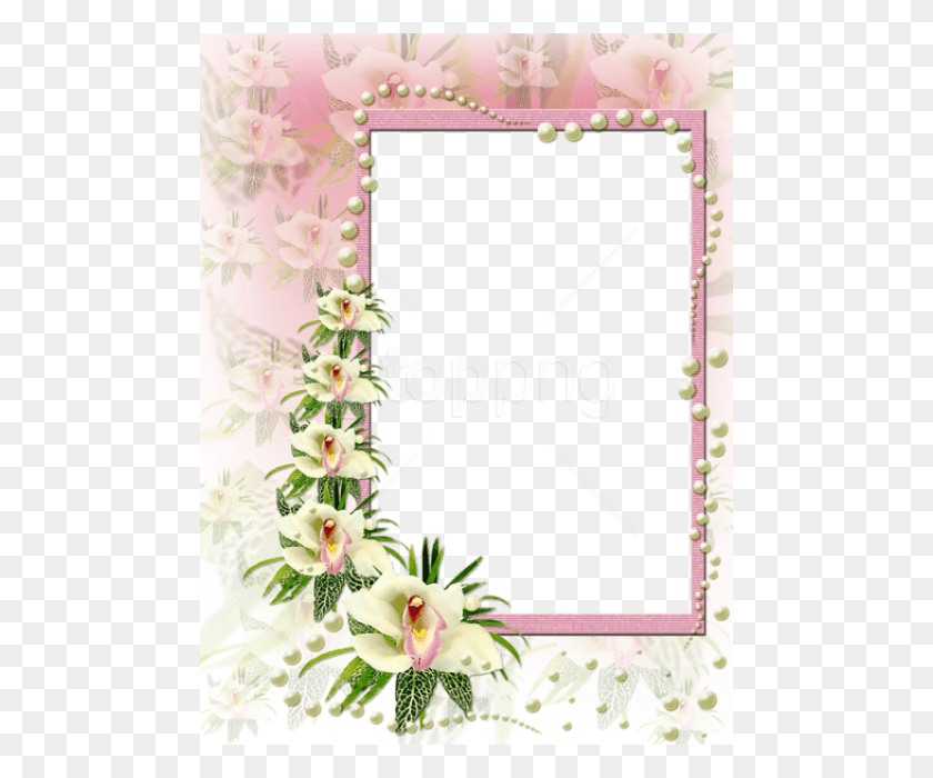 480x640 Free Best Stock Photos Pink And White Flowers Frame Best Borders And Frames, Plant, Flower, Blossom HD PNG Download
