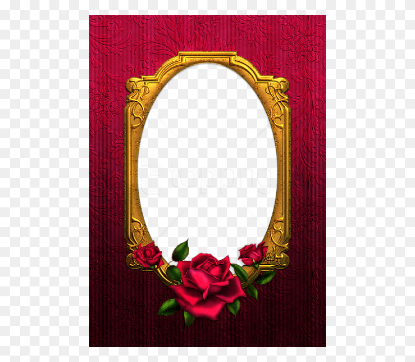 480x673 Png Скачать Бесплатно Best Stock Photos Red And Gold Rose Tansparent Frame With Rose, Oval, Text, Flower Hd Png Download