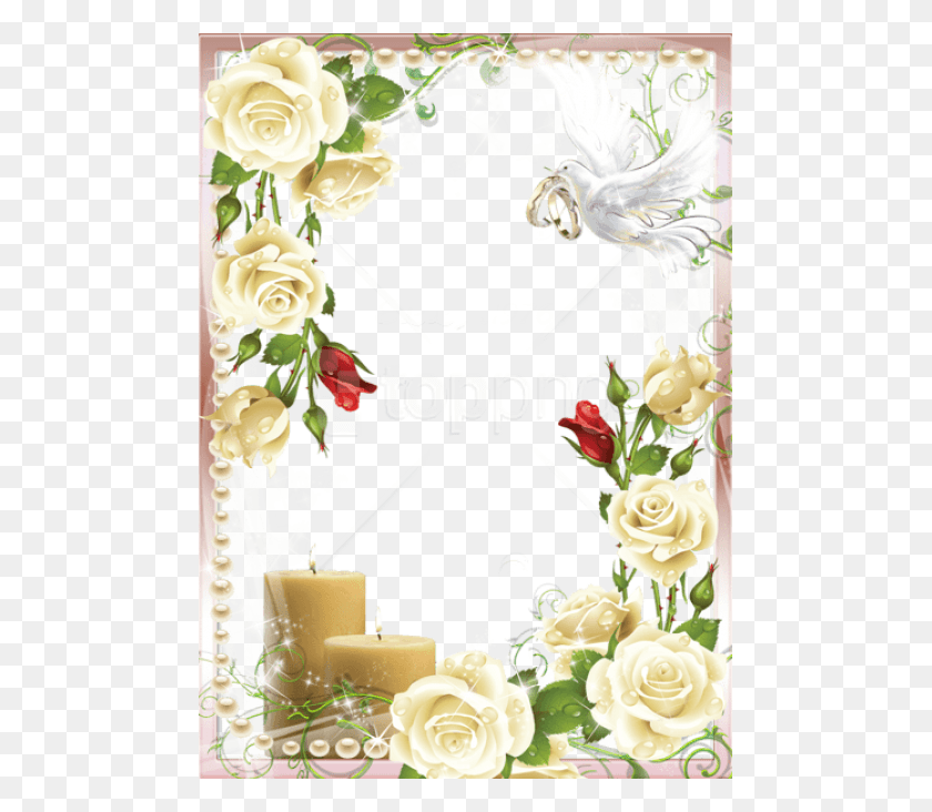 481x672 Free Best Stock Photos Soft Wedding Photo Frame Frames For Wedding, Graphics, Floral Design HD PNG Download