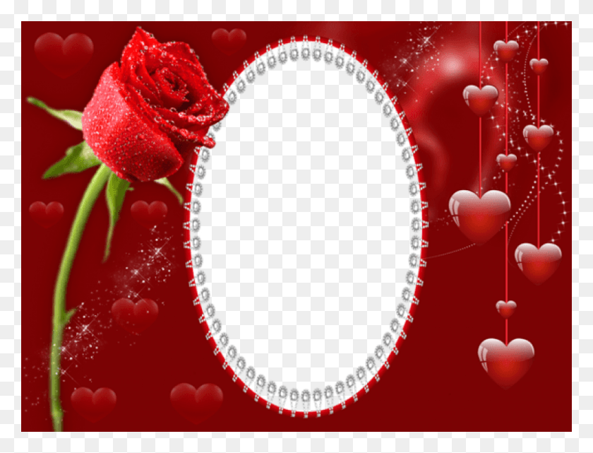 850x634 Free Best Stock Photos Transparent Red Romantic Transparent Background Love Border, Graphics, Plant HD PNG Download