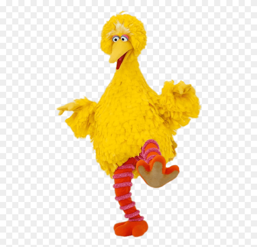 480x747 Free Big Bird Sesame Street Images Big Bird Sesame Street, Animal, Poultry, Fowl HD PNG Download