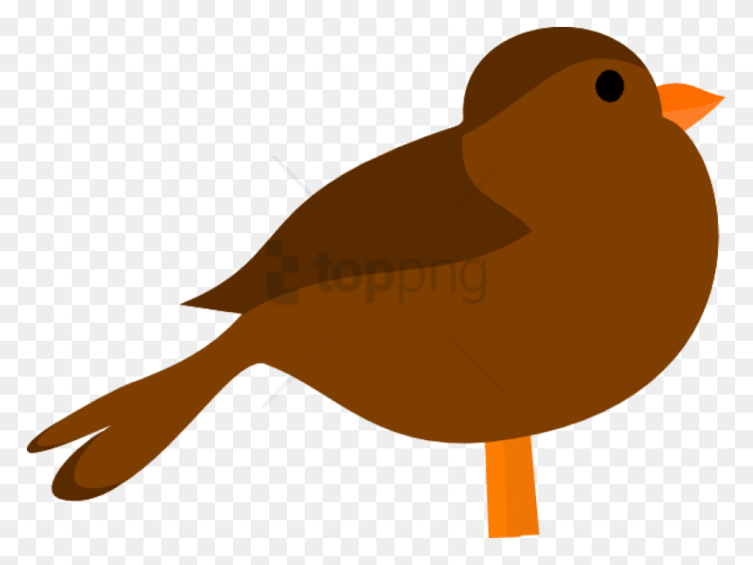 850x622 Free Bird Brown Image With Transparent Background Bird Clipart Brown, Animal, Waterfowl, Axe HD PNG Download