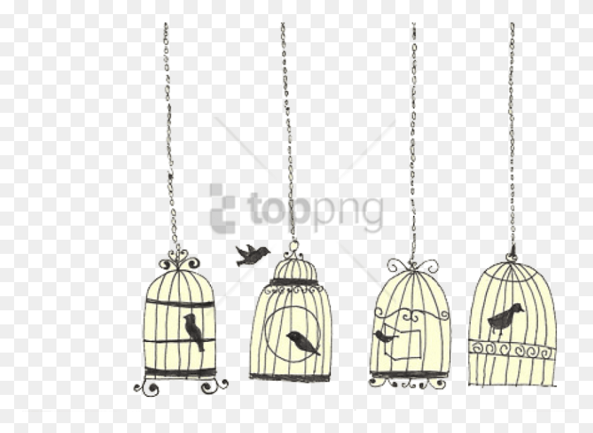 850x604 Free Bird Cage Drawing Images Background Bird Cage Drawing Transperent, Broom, Animal, Label HD PNG Download