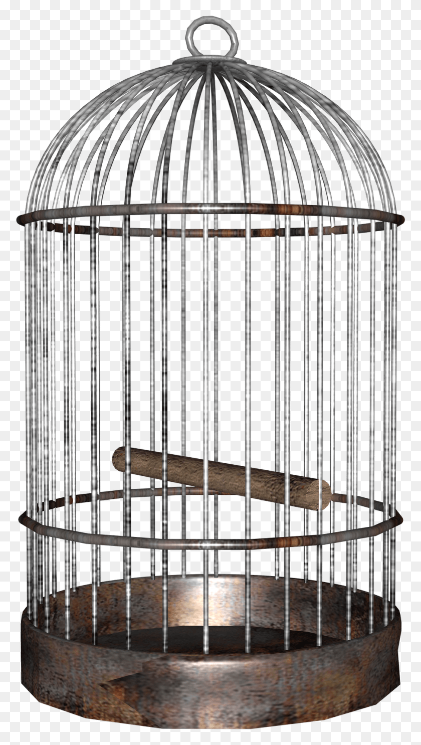 1049x1919 Free Bird Cage Images Background Bird Cage, Crib, Furniture, Logo HD PNG Download