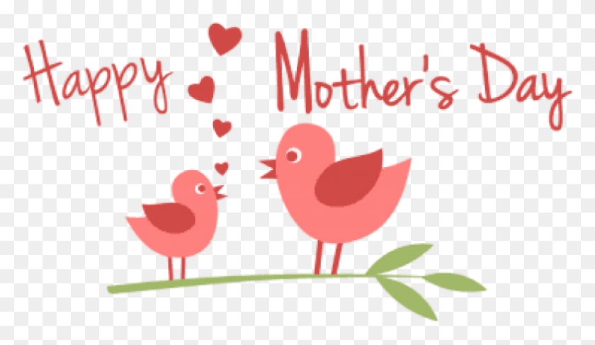786x431 Free Bird Fly Mothers Day Images Transparent Happy Mother39s Day, Poster, Advertisement, Animal HD PNG Download