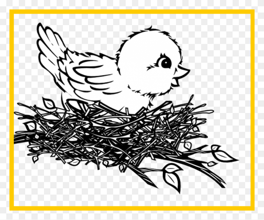 850x699 Free Bird In Nest Images Background Birds Nest Easy Drawing, Animal, Poultry, Fowl HD PNG Download