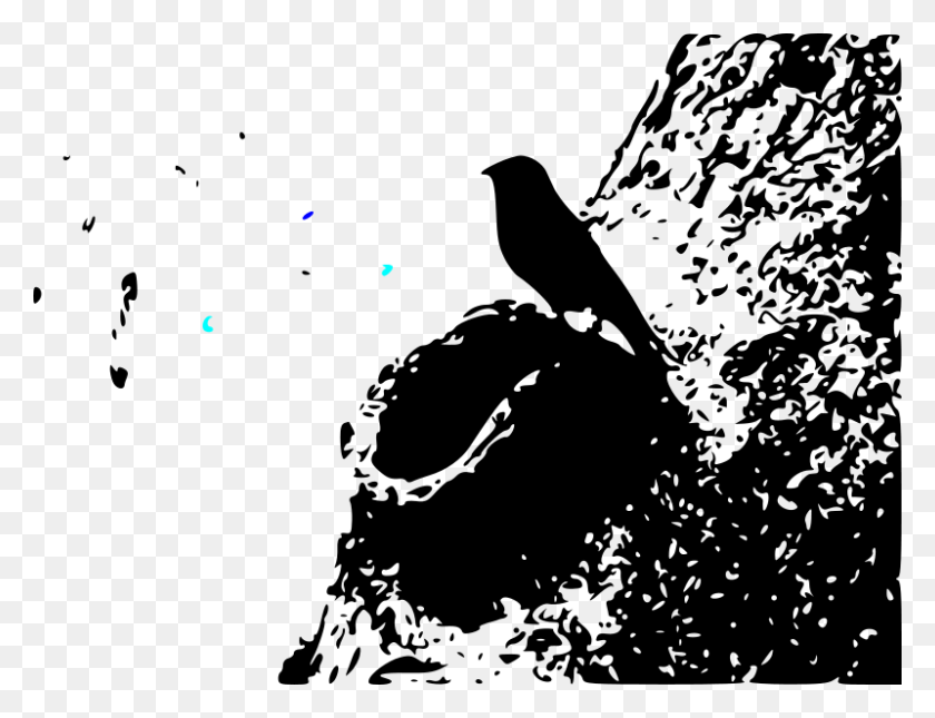 800x600 Free Bird Outline 2 Illustration, Flare, Light, Astronomía Hd Png