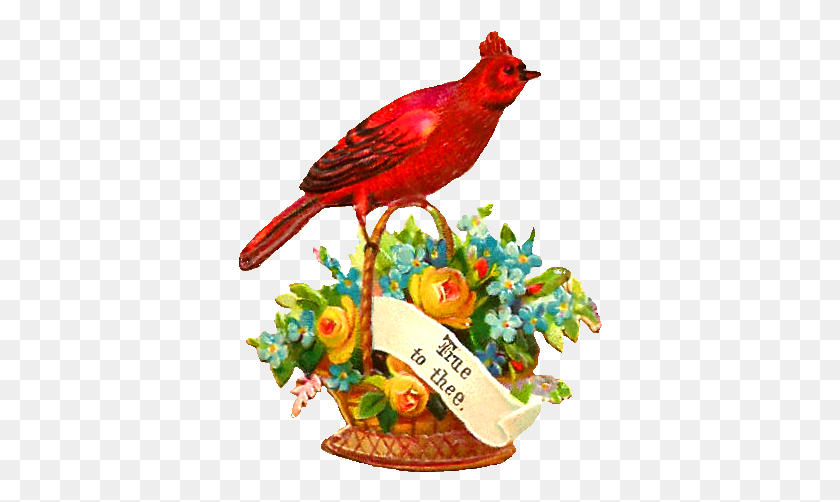 364x442 Красная Птица Малиновка Сидит На Желтой Розе И Цветок Цветок Красный С Птицей, Животное, Кардинал, Канарейка Png Скачать