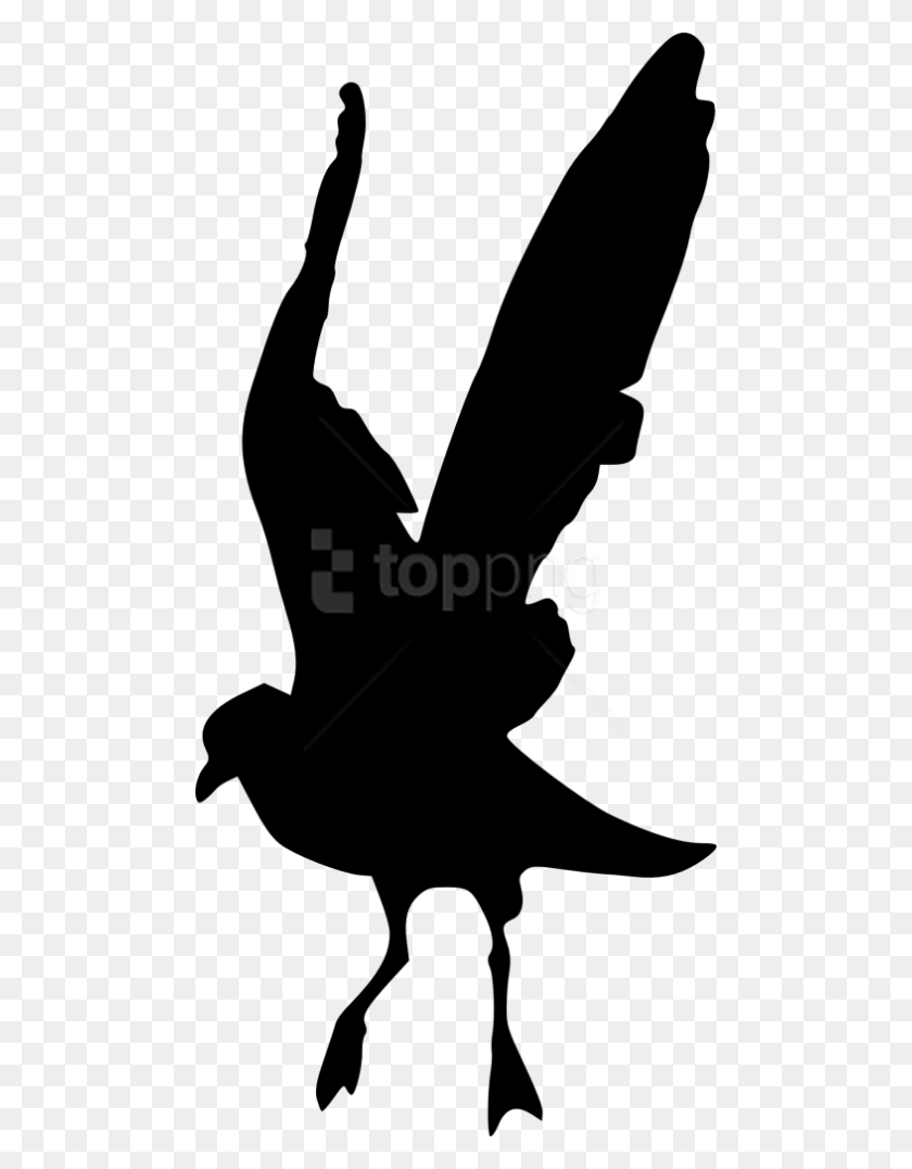 480x1016 Free Bird Silhouette Eagle, Person, Human HD PNG Download